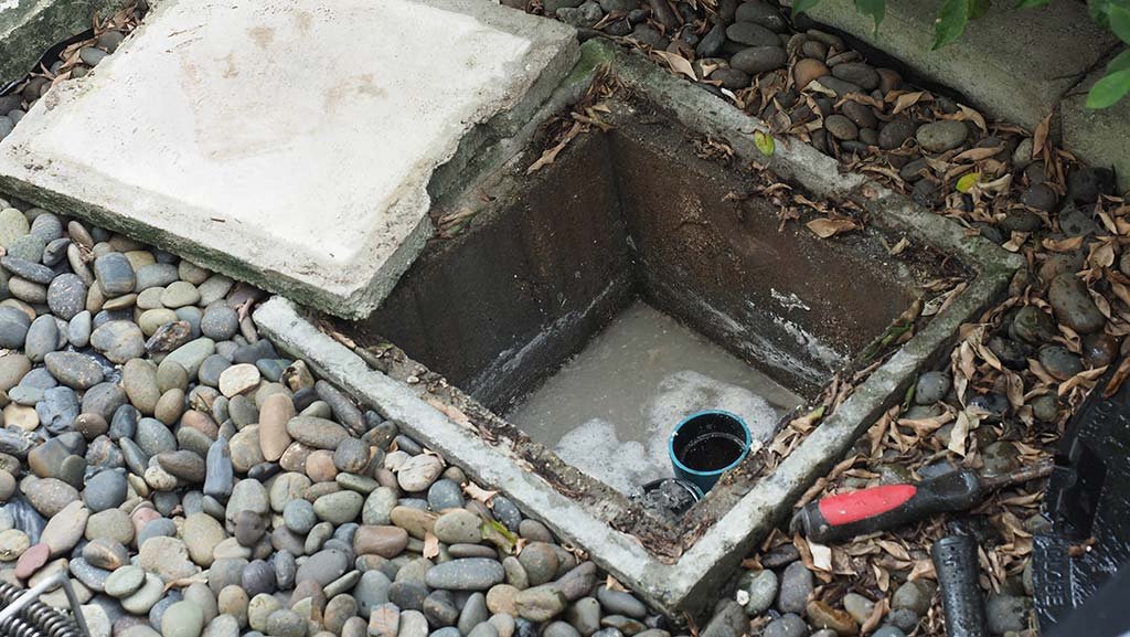 Septic treatment: common problems and practical solutions
